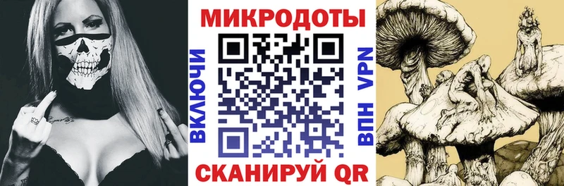 Псилоцибиновые грибы Psilocybine cubensis  Купить где  Исилькуль 